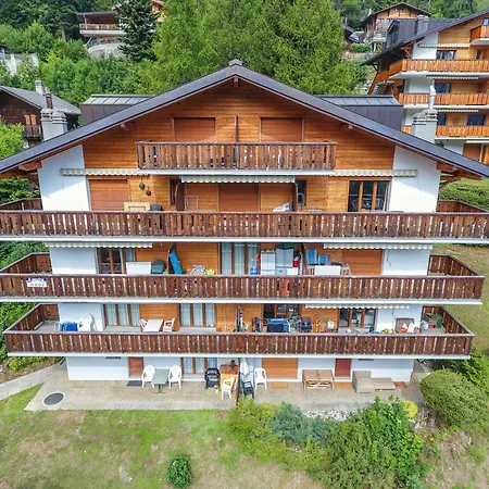 Dent Fvare B 20 By Interhome Apartmán Ovronnaz