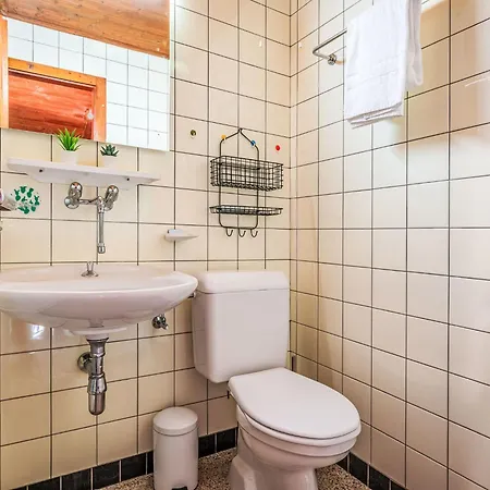 Appartement Dent Fvare B 20 By Interhome Ovronnaz