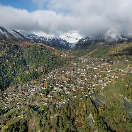 Dent Fvare B 20 By Interhome * Ovronnaz