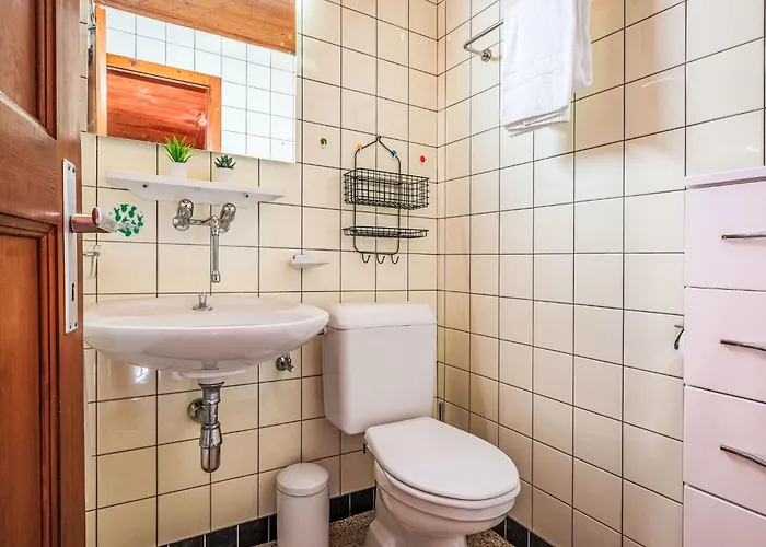 Apartmán Dent Fvare B 20 By Interhome Ovronnaz