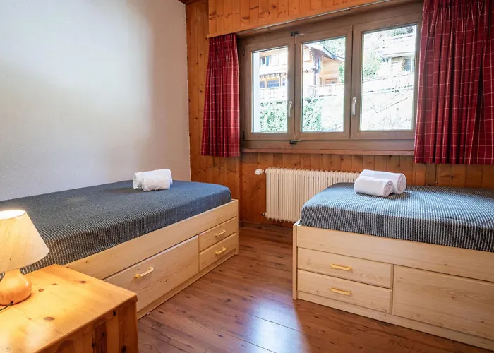 Dent Fvare B 20 By Interhome