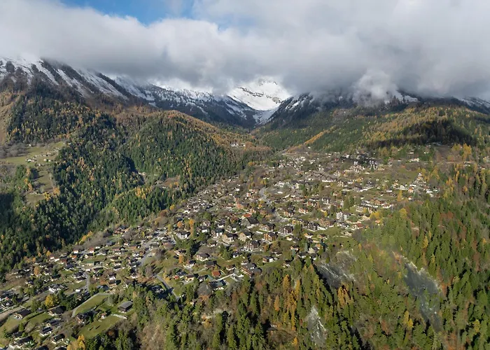 Dent Fvare B 20 By Interhome * Ovronnaz